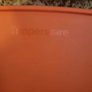 Tupperware Vibrant Orange Lid